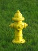 Firehydrant-in-Lawn-01.jpg