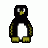 War Penguin